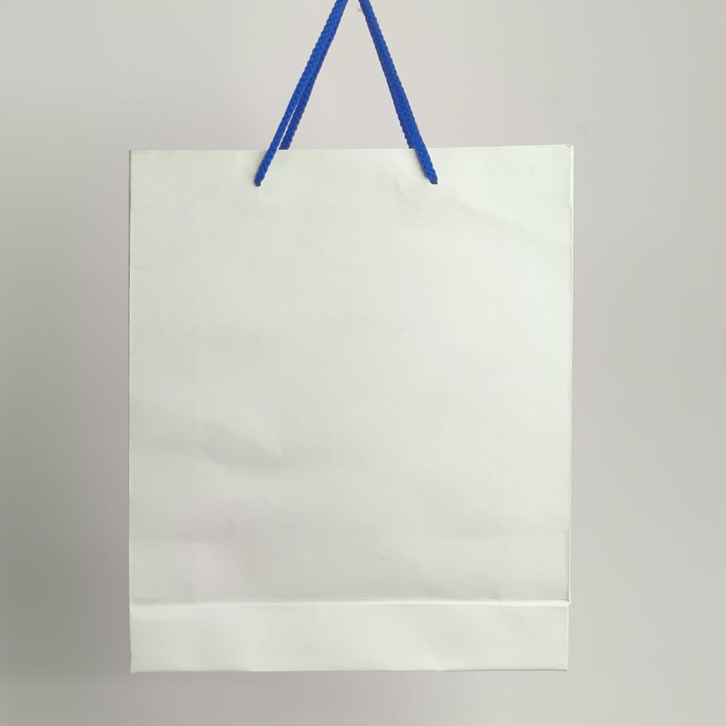 Gift Paper Bags