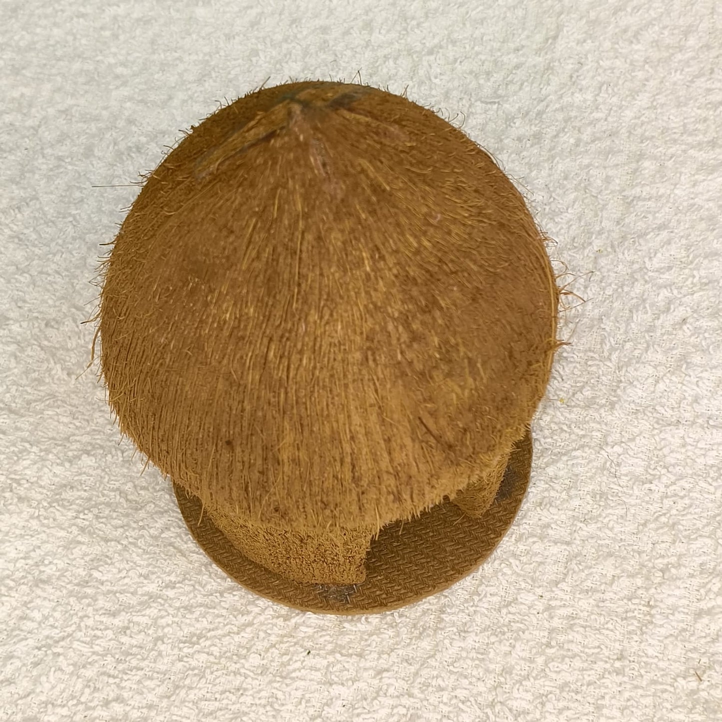 Hand Made Coconut Hut