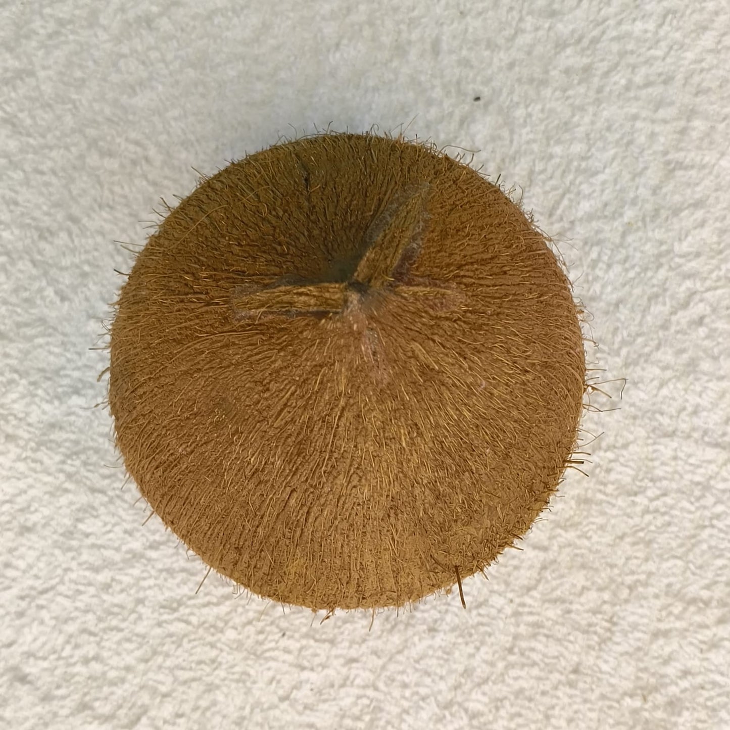 Hand Made Coconut Hut